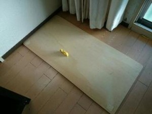 rps20150112_165725_862-thumbnail2