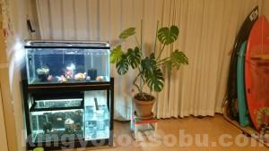 rps20150112_140121_332