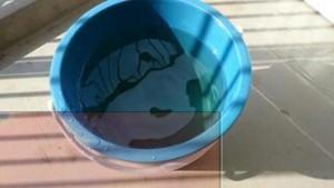 rps20151004_123640_446-thumbnail2