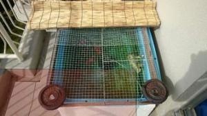rps20151004_123901_382-thumbnail2