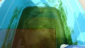rps20151004_161057_676-thumbnail2