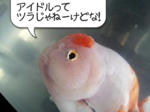 dhkjflt2dtoakfh1458296592_1458296810