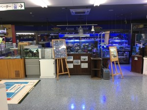 ファイル 2016-02-02 18 03 53