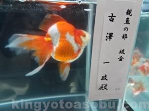 dsc00287