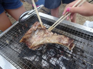 IMG_7094[1]