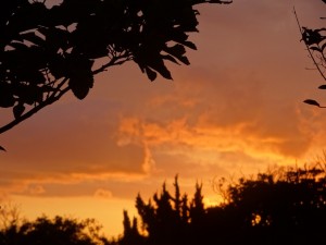 IMG_7141[1]
