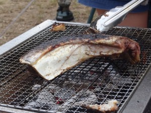 IMG_7155[1]