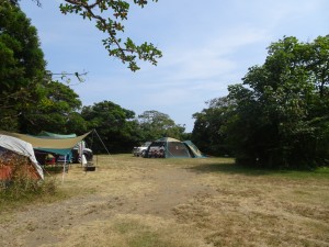 IMG_7183[1]