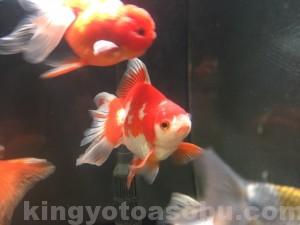img_28561