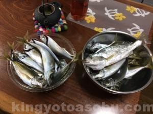 IMG_5965[1]