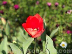IMG_6220[1]