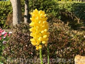 IMG_6221[1]