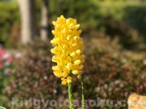 IMG_6222[1]