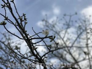 IMG_6320[1]