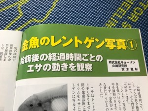 IMG_7183[1]