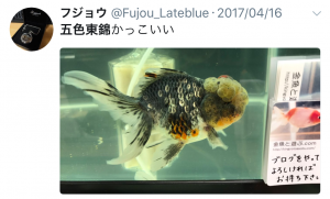 ファイル 2017-07-27 21 30 04