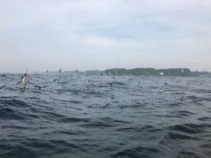 IMG_0430[1]