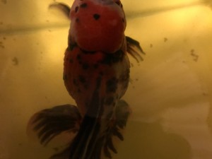 IMG_0843[1]