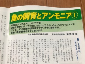 IMG_1100[1]