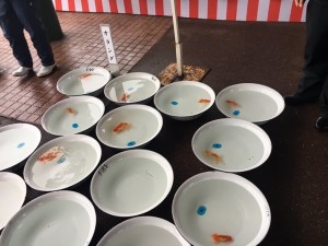 IMG_4080[1]