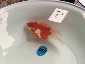 IMG_4097[1]