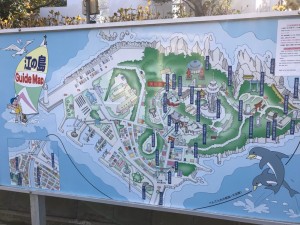 IMG_9869[1]