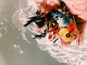 Processed with VSCO with c1 preset