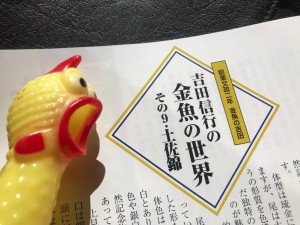 IMG_0537[1]