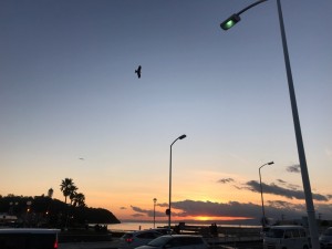 IMG_9966[1]