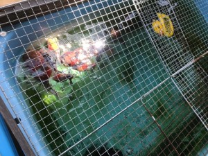 IMG_5129[1]