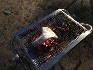 IMG_6901[1]