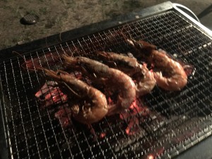 IMG_6910[1]