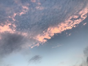 IMG_7002[1]